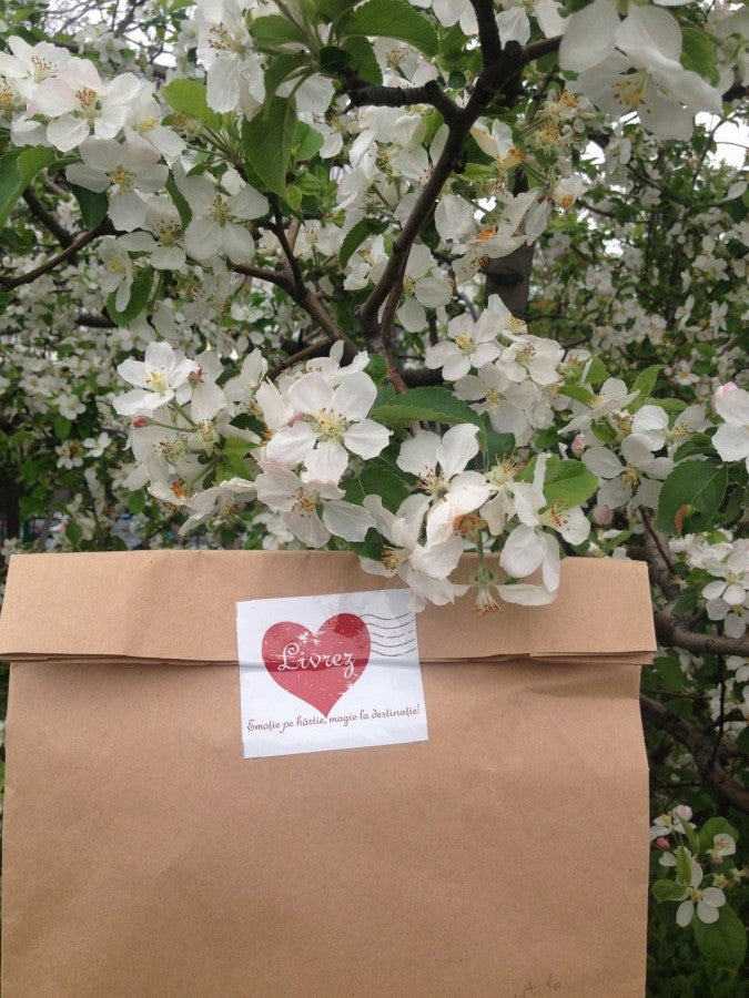 Poveşti aflate din scrisori